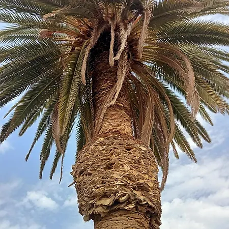 Village Naturiste R4n - Le Velvet Jardin D'eden Couple Only Luxe Apartament Agde