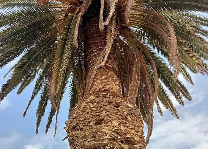 Village Naturiste R4n - Le Velvet Jardin D'eden Couple Only Luxe Apartamento Agde